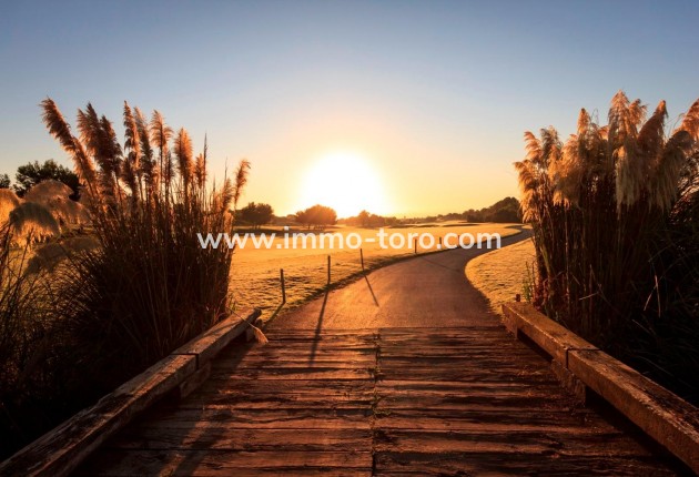 New Build - Villa - Pilar de la Horadada - Lo Romero Golf