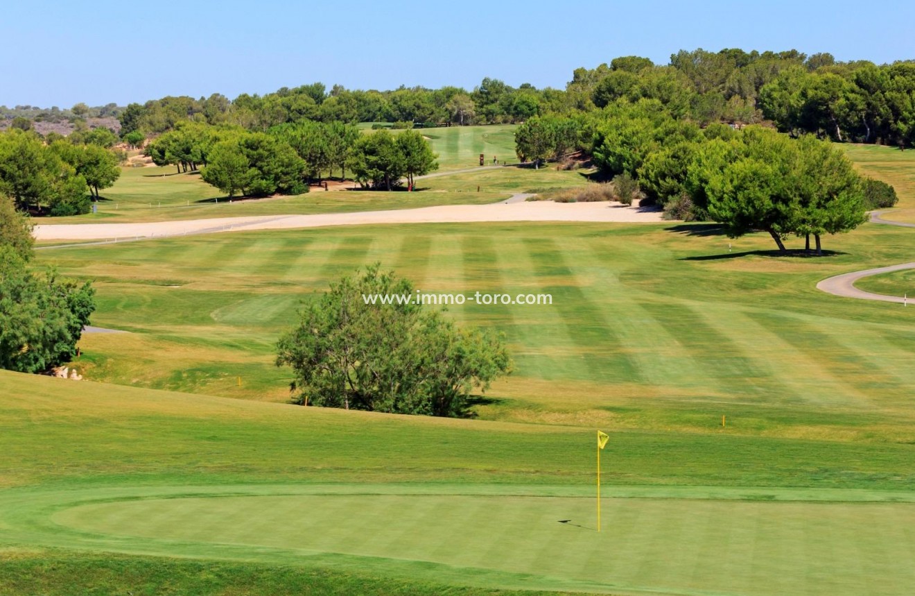 New Build - Villa - Pilar de la Horadada - Lo Romero Golf