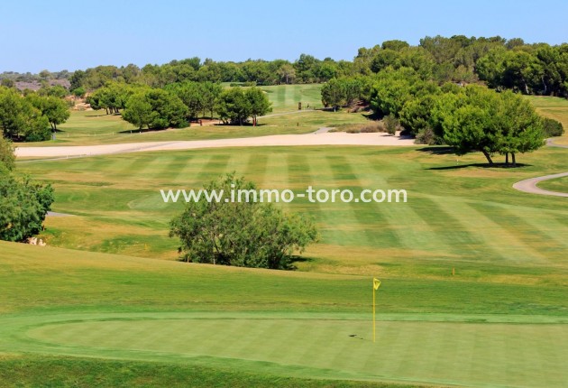 New Build - Villa - Pilar de la Horadada - Lo Romero Golf