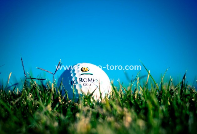 New Build - Villa - Pilar de la Horadada - Lo Romero Golf