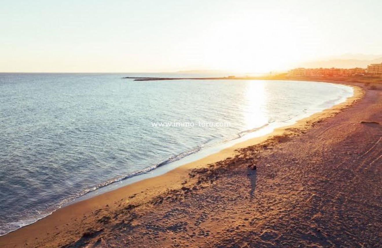 Nieuwbouw - Appartement  - Almerimar