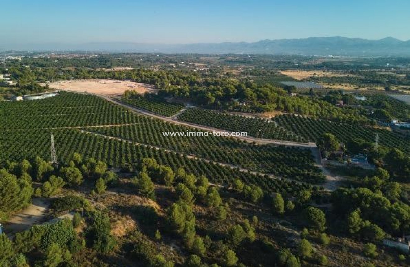 Nieuwbouw - Geschakelde woning - Godella - Campolivar