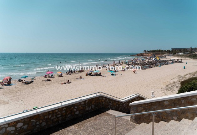 New Build - Villa - Pilar de la Horadada - Riomar