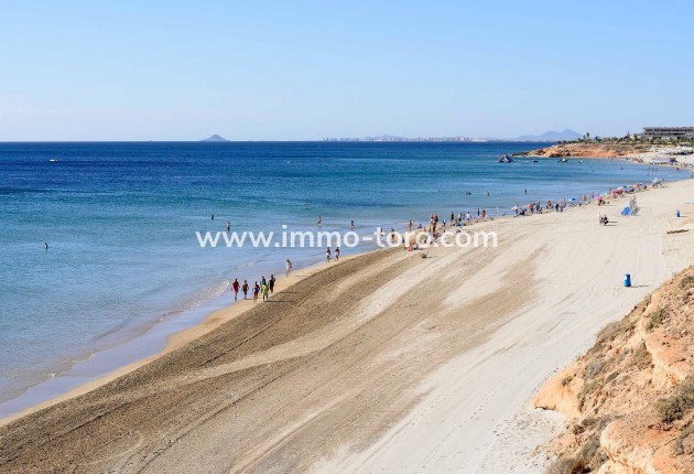 New Build - Villa - Pilar de la Horadada - Riomar