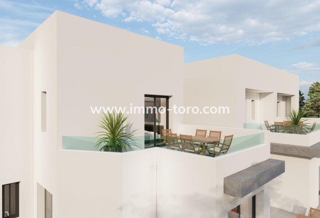 Nouvelle construction - Villa - Daya Nueva