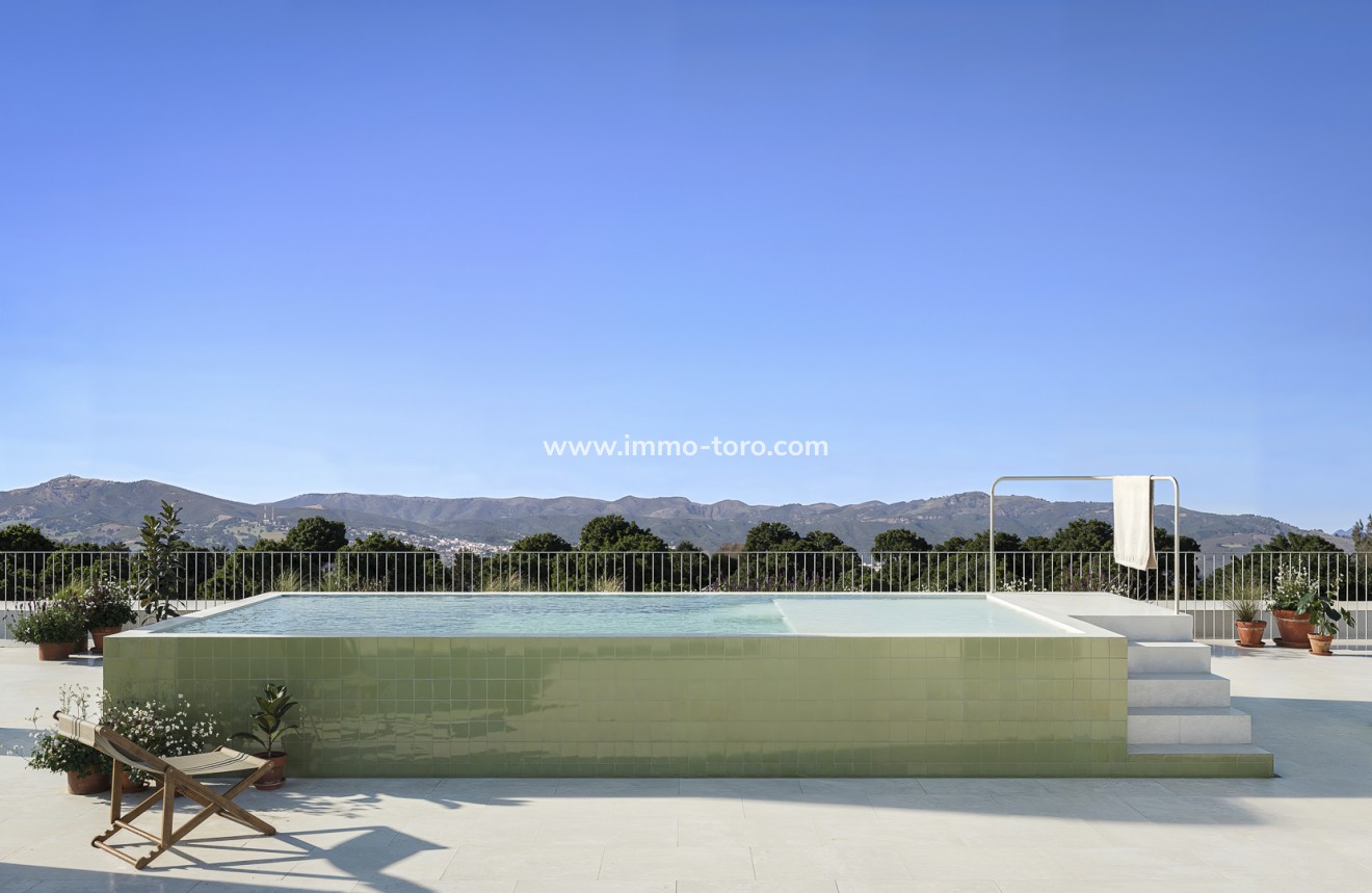 New Build - Apartment - Jacarilla