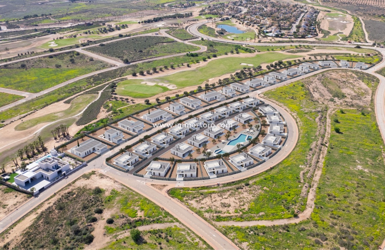 Nouvelle construction - Villa - Fuente Álamo - Fuente Alamo