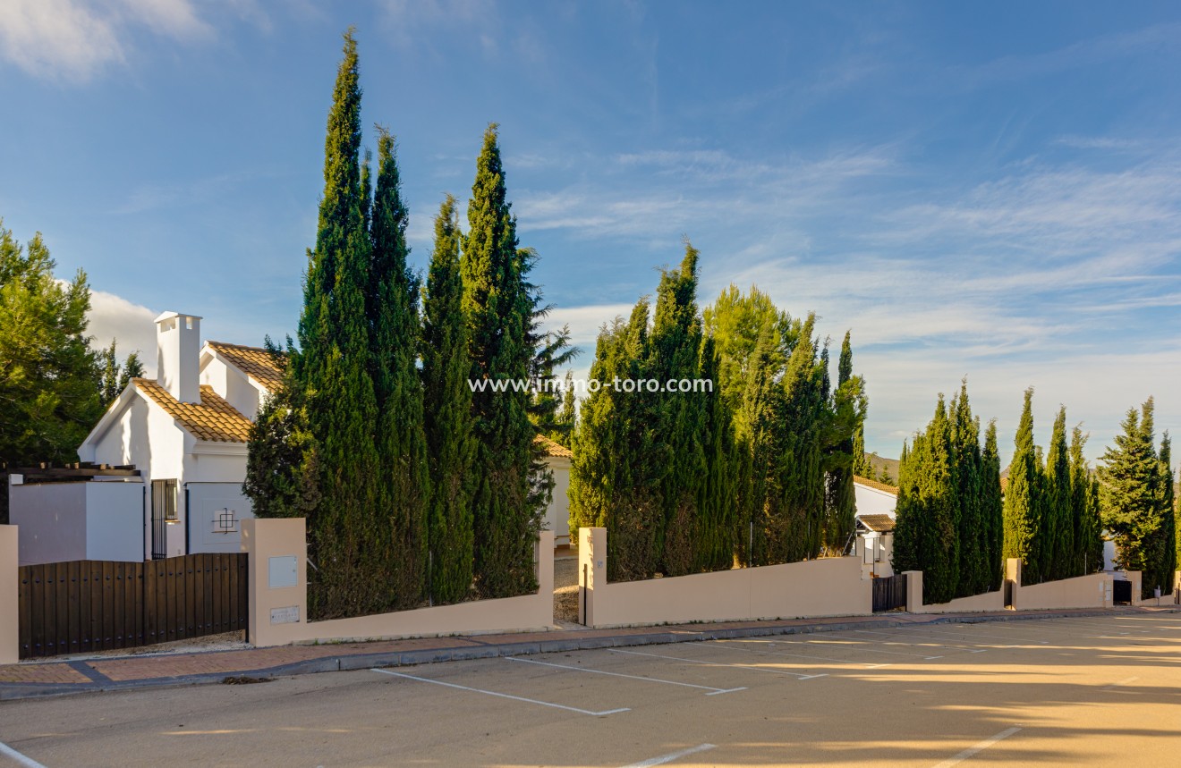 New Build - Villa - Fuente Álamo - Fuente Alamo