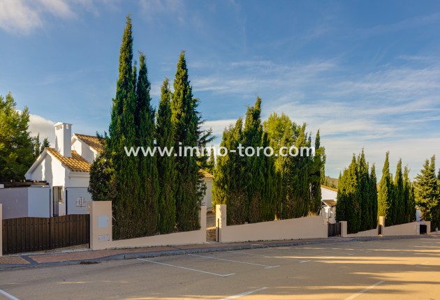 New Build - Villa - Fuente Álamo - Fuente Alamo