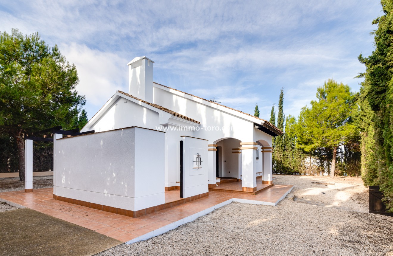 New Build - Villa - Fuente Álamo - Fuente Alamo