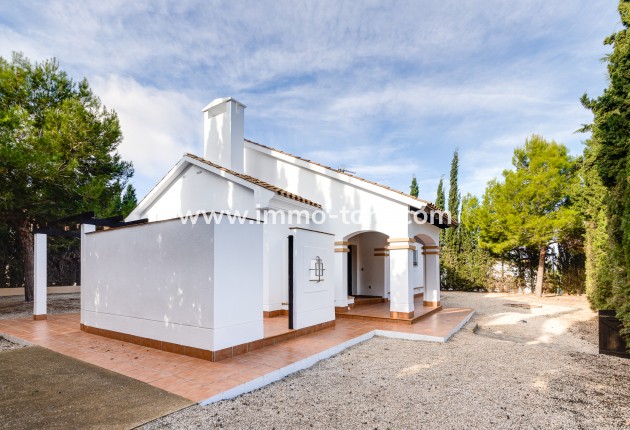 New Build - Villa - Fuente Álamo - Fuente Alamo