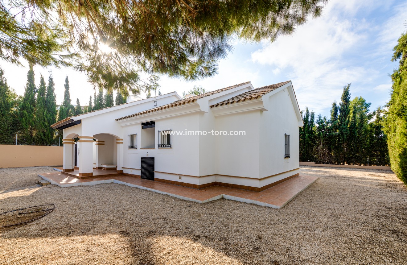 New Build - Villa - Fuente Álamo - Fuente Alamo