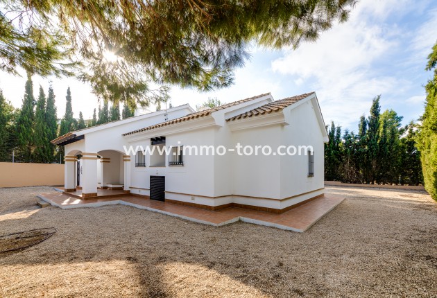 Nueva construcción  - Villa / Chalet - Fuente Álamo - Fuente Alamo