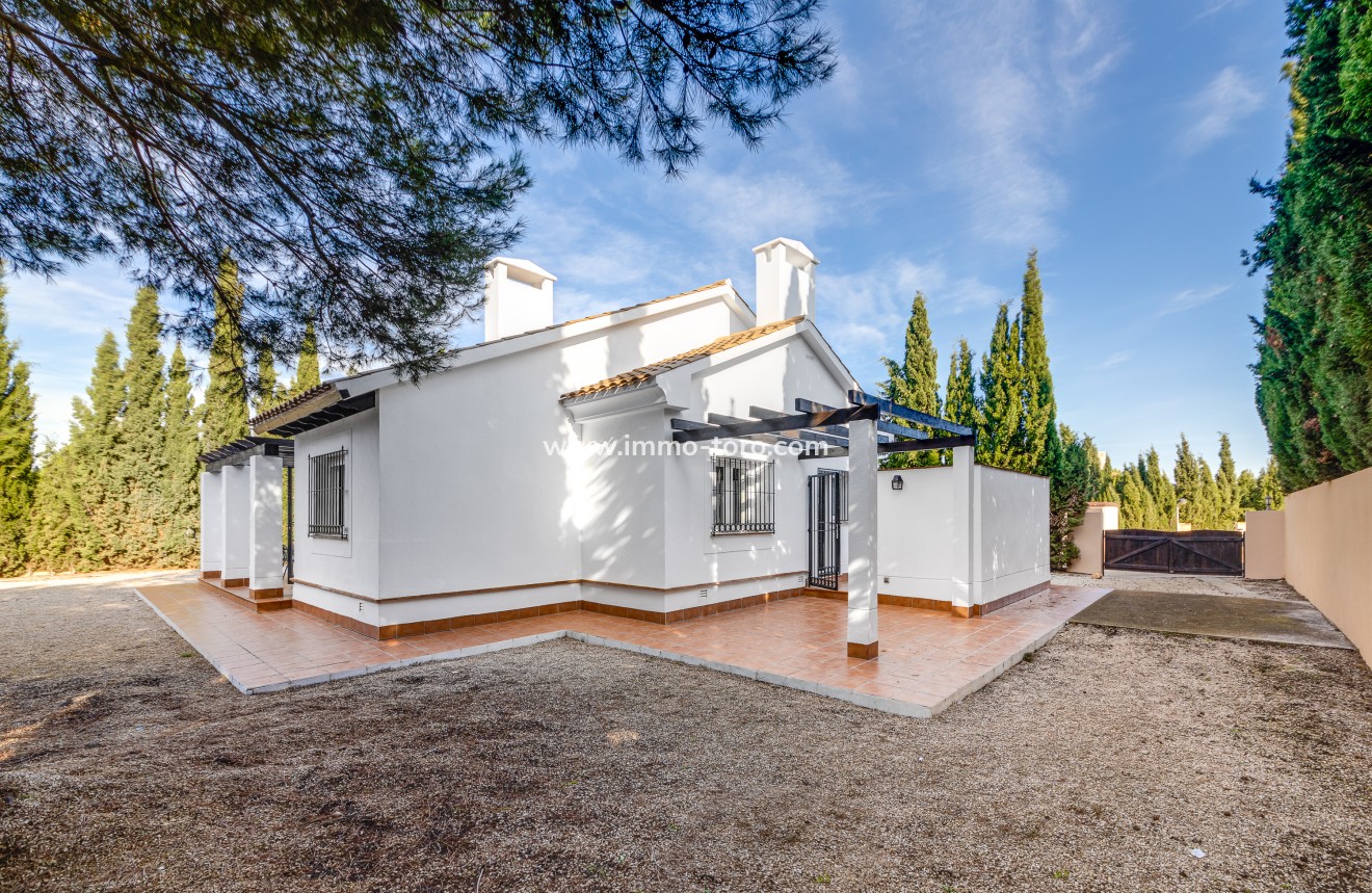 Nueva construcción  - Villa / Chalet - Fuente Álamo - Fuente Alamo