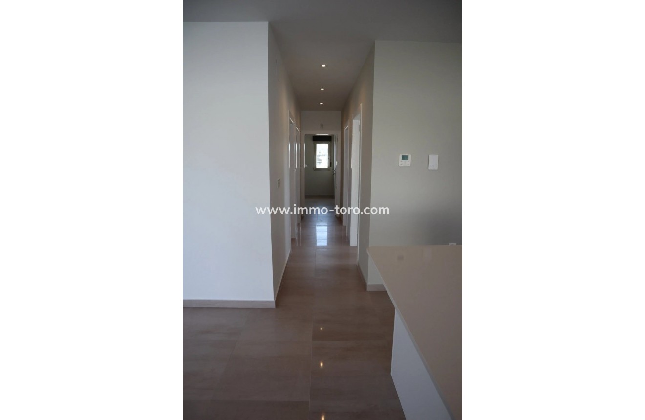 New Build - Villa - Aspe