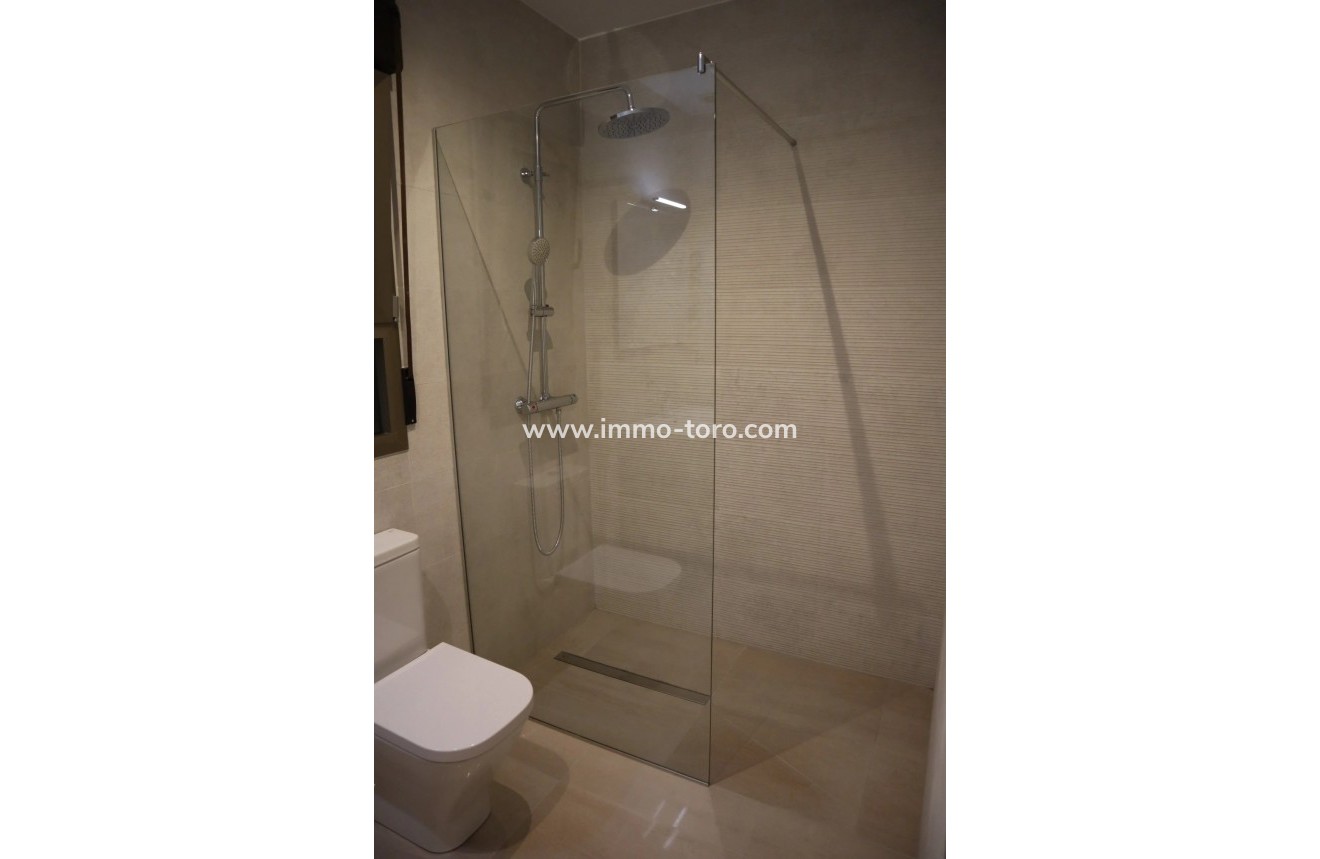 New Build - Villa - Aspe