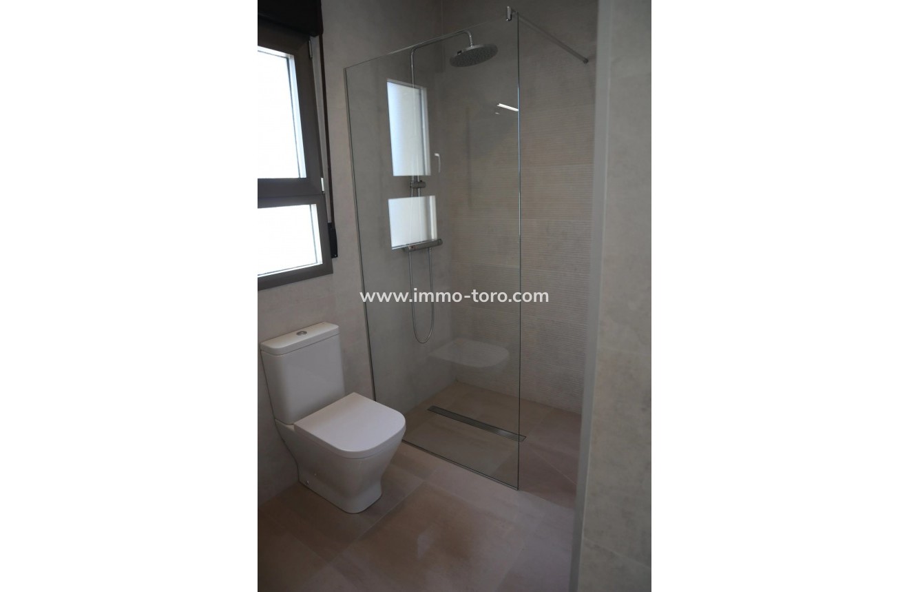 New Build - Villa - Aspe