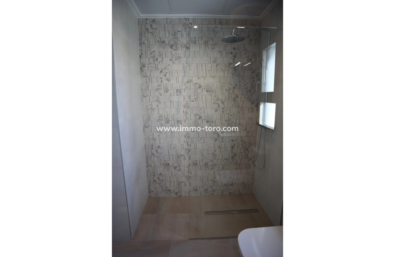 New Build - Villa - Aspe