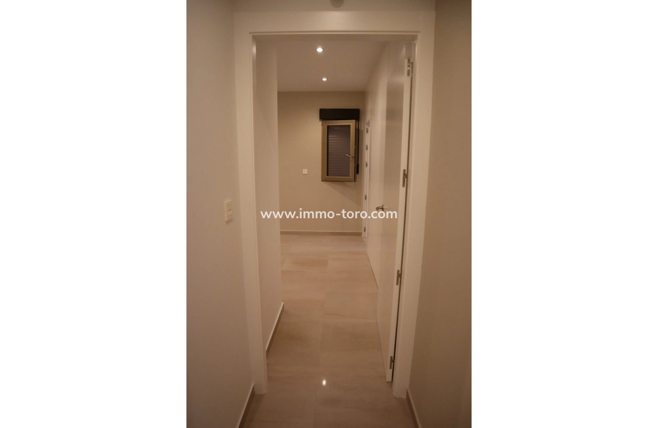 New Build - Villa - Aspe