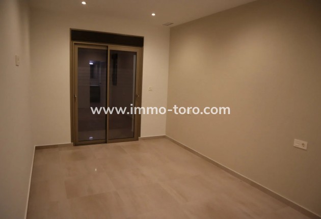 New Build - Villa - Aspe