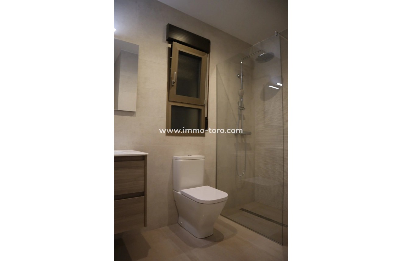 New Build - Villa - Aspe