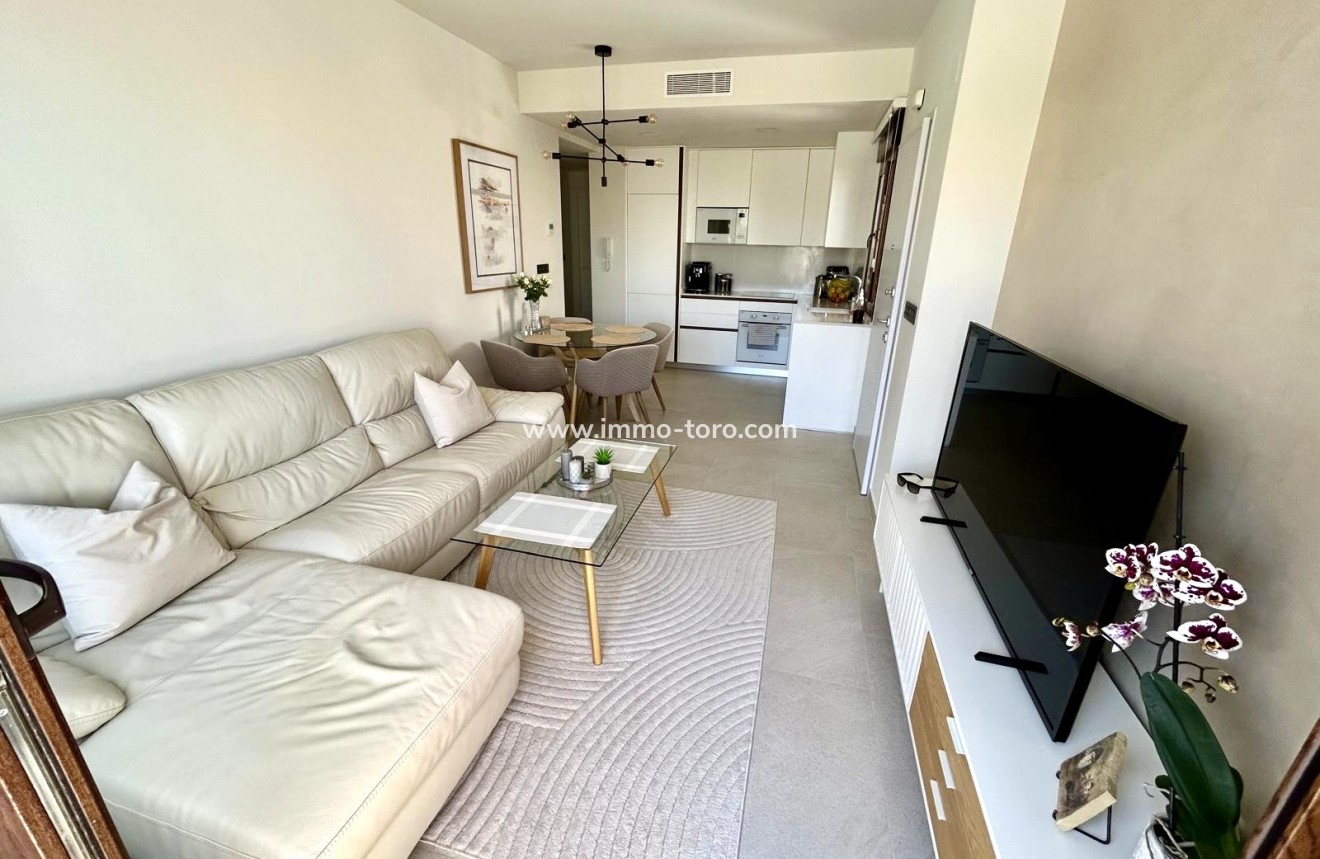 Nouvelle construction - Penthouse - Torrevieja