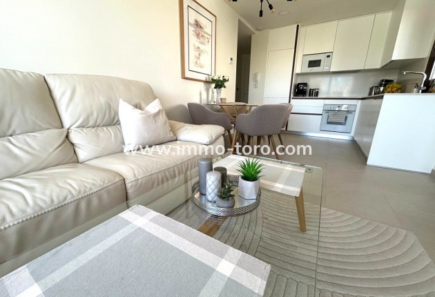 Nouvelle construction - Penthouse - Torrevieja