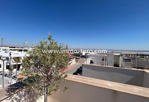 Nueva construcción  - Apartamento - Torrevieja