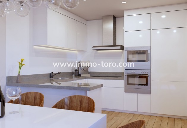 New Build - Detached house / Townhouse - San Javier