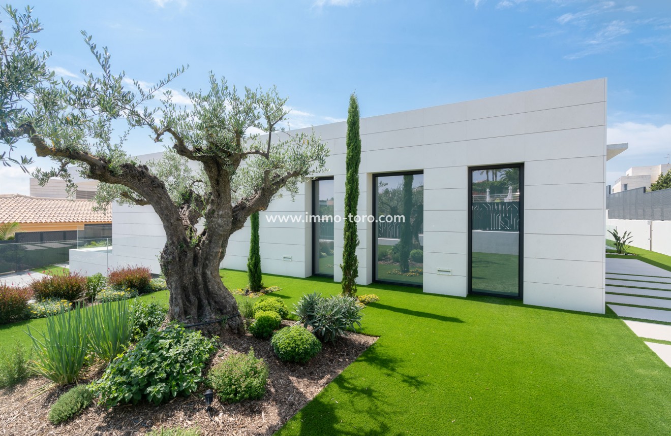 New Build - Villa - Molina De Segura - Molina de Segura