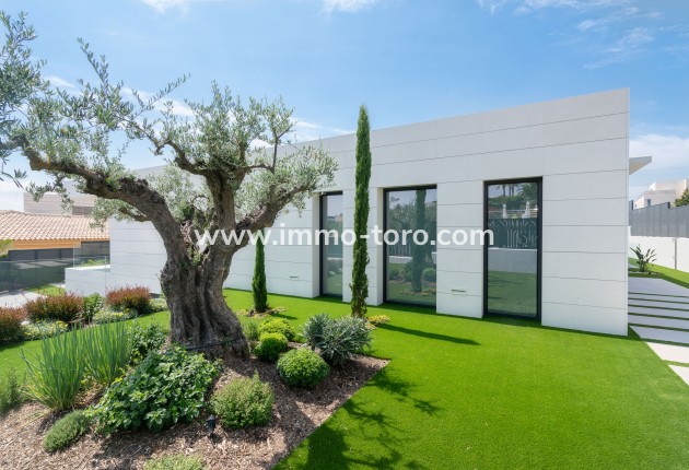 New Build - Villa - Molina De Segura - Molina de Segura