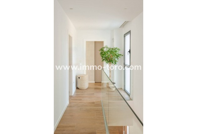 New Build - Villa - Molina De Segura - Molina de Segura