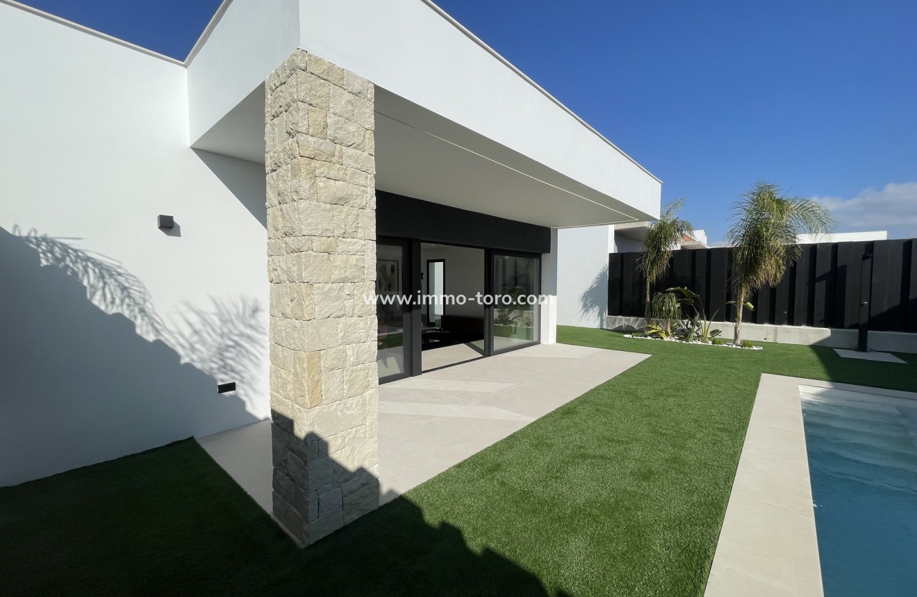 New Build - Villa - Molina De Segura - Molina de Segura