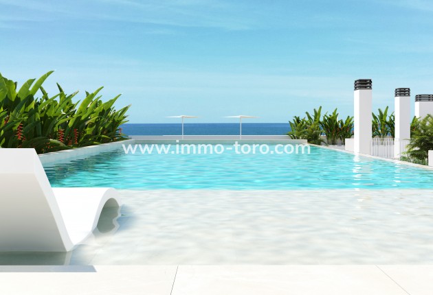 Nueva construcción  -  - Guardamar - Guardamar del Segura