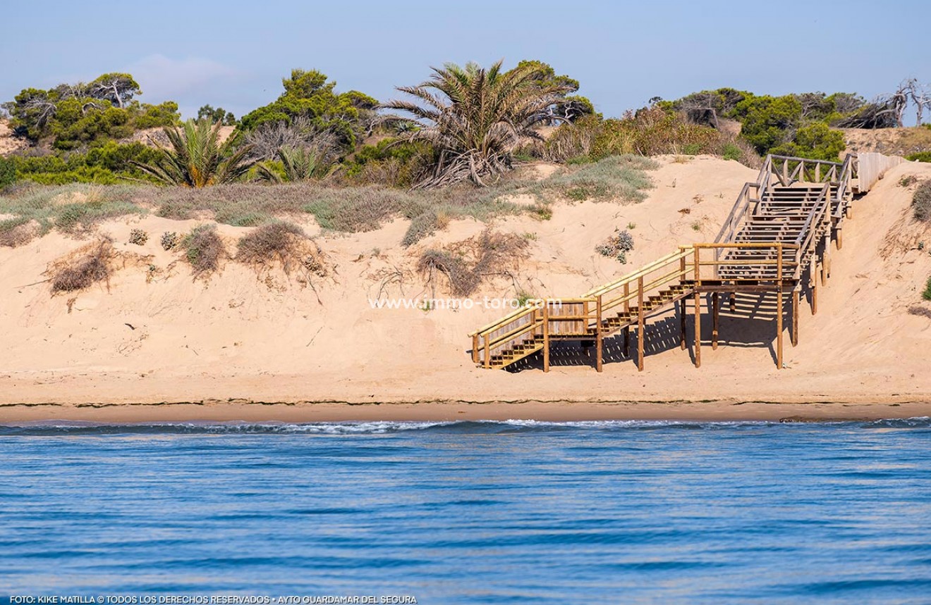 Nouvelle construction - Villa - Daya Nueva