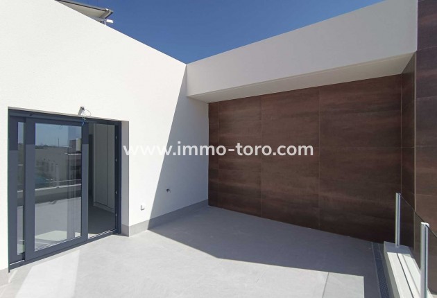 Nouvelle construction - Villa - Daya Nueva