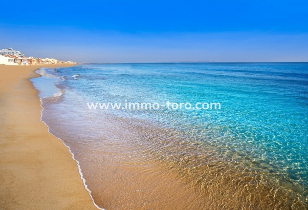 Nouvelle construction - Villa - Daya Nueva