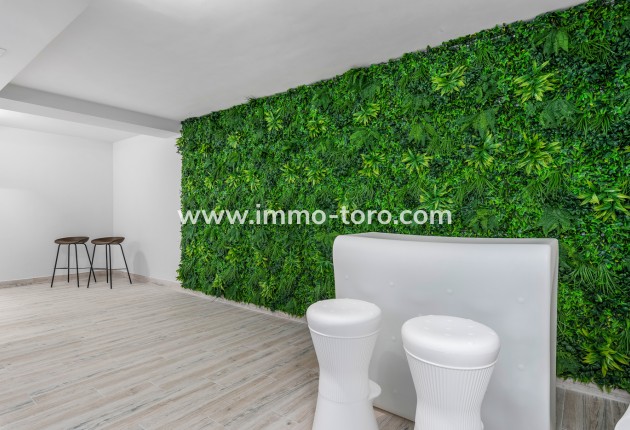 New Build - Villa - Ciudad Quesada