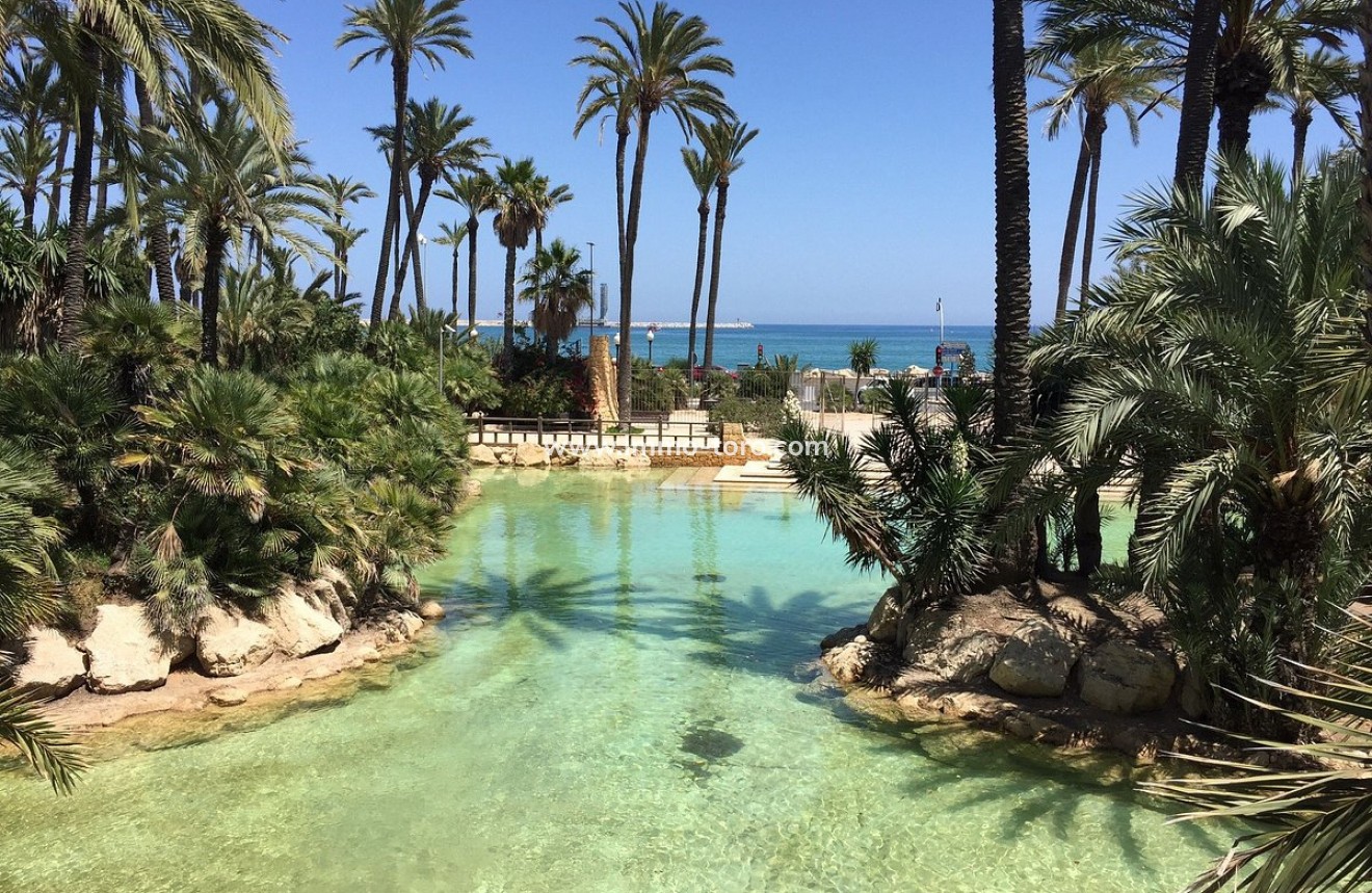 Nouvelle construction - Penthouse - Santa Pola