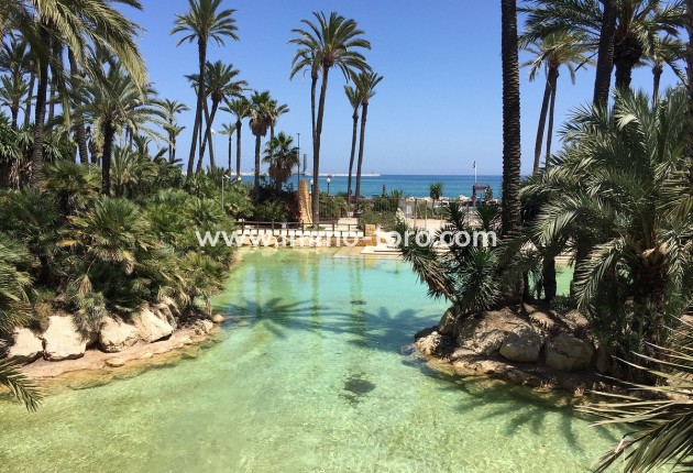 Nouvelle construction - Penthouse - Santa Pola