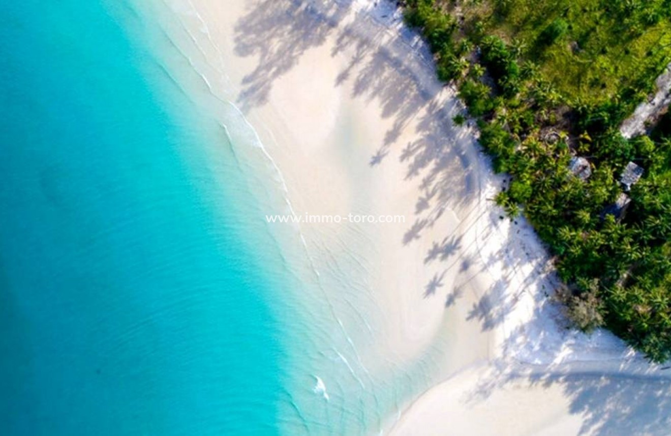 Nouvelle construction - Penthouse - Santa Pola