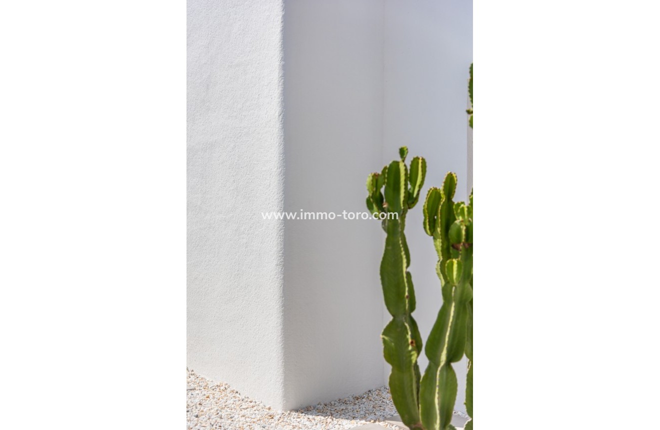 Nueva construcción  - Villa / Chalet - Los Alcázares