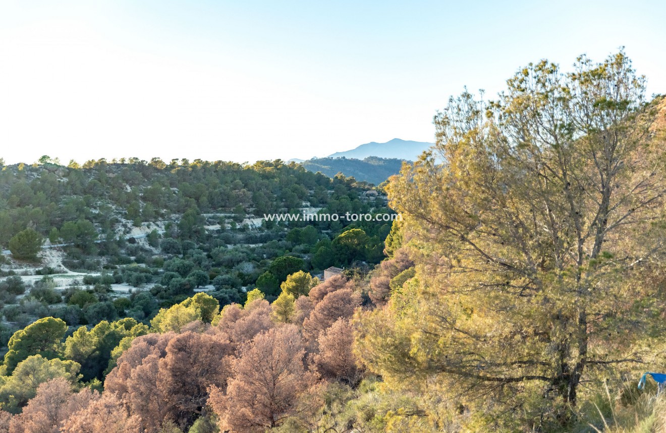 Nouvelle construction - Appartement - Finestrat