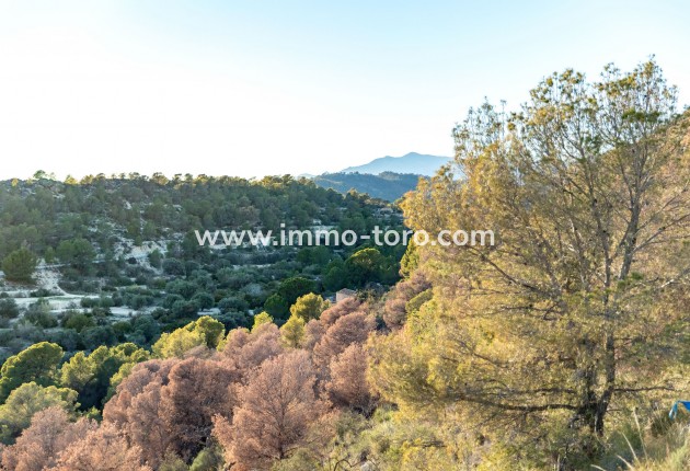 Nouvelle construction - Appartement - Finestrat