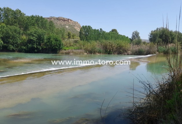 New Build - Villa - Calasparra