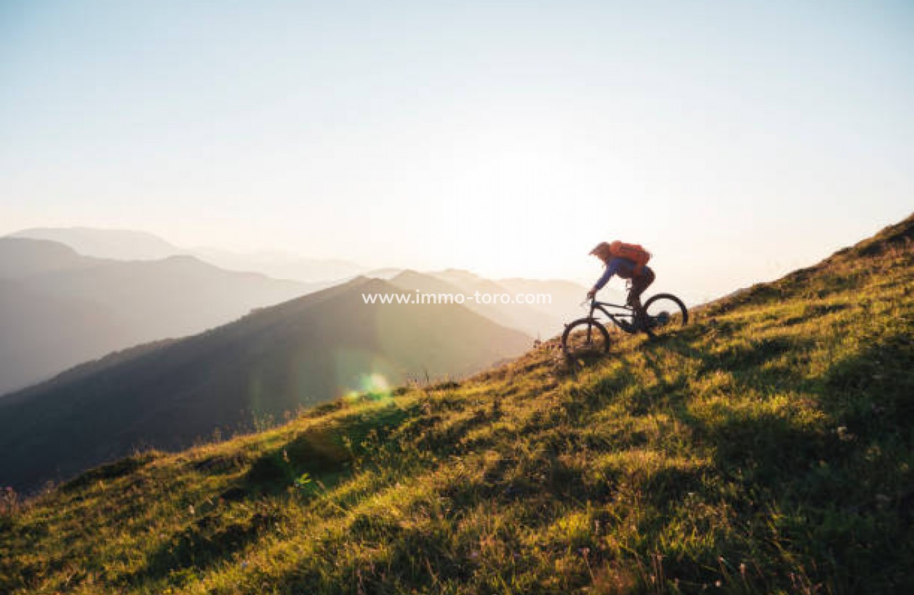 New Build - Villa - Calasparra