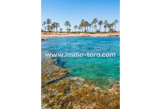 New Build - Apartment - Torrevieja