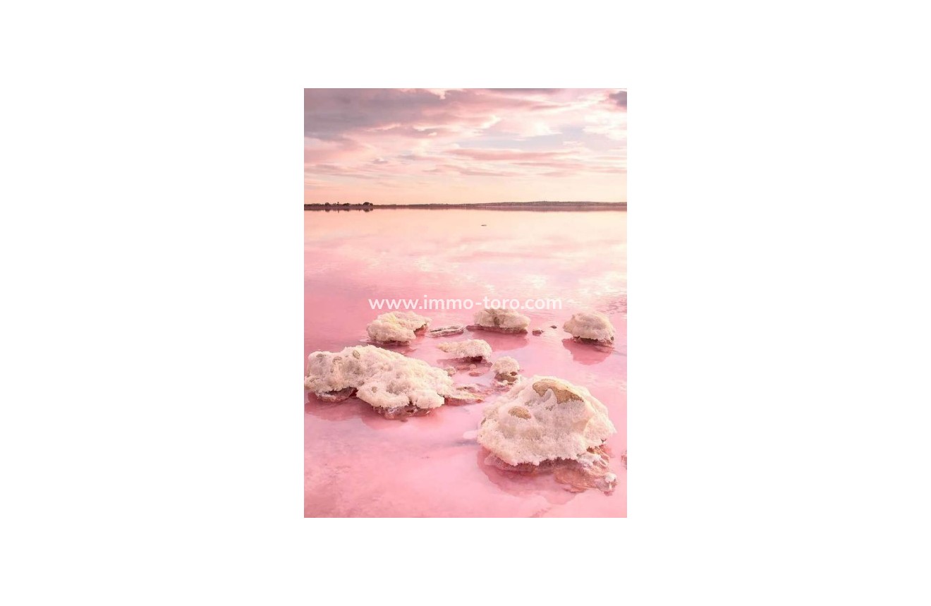 New Build - Apartment - Torrevieja