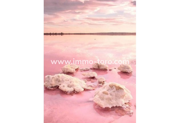 New Build - Apartment - Torrevieja