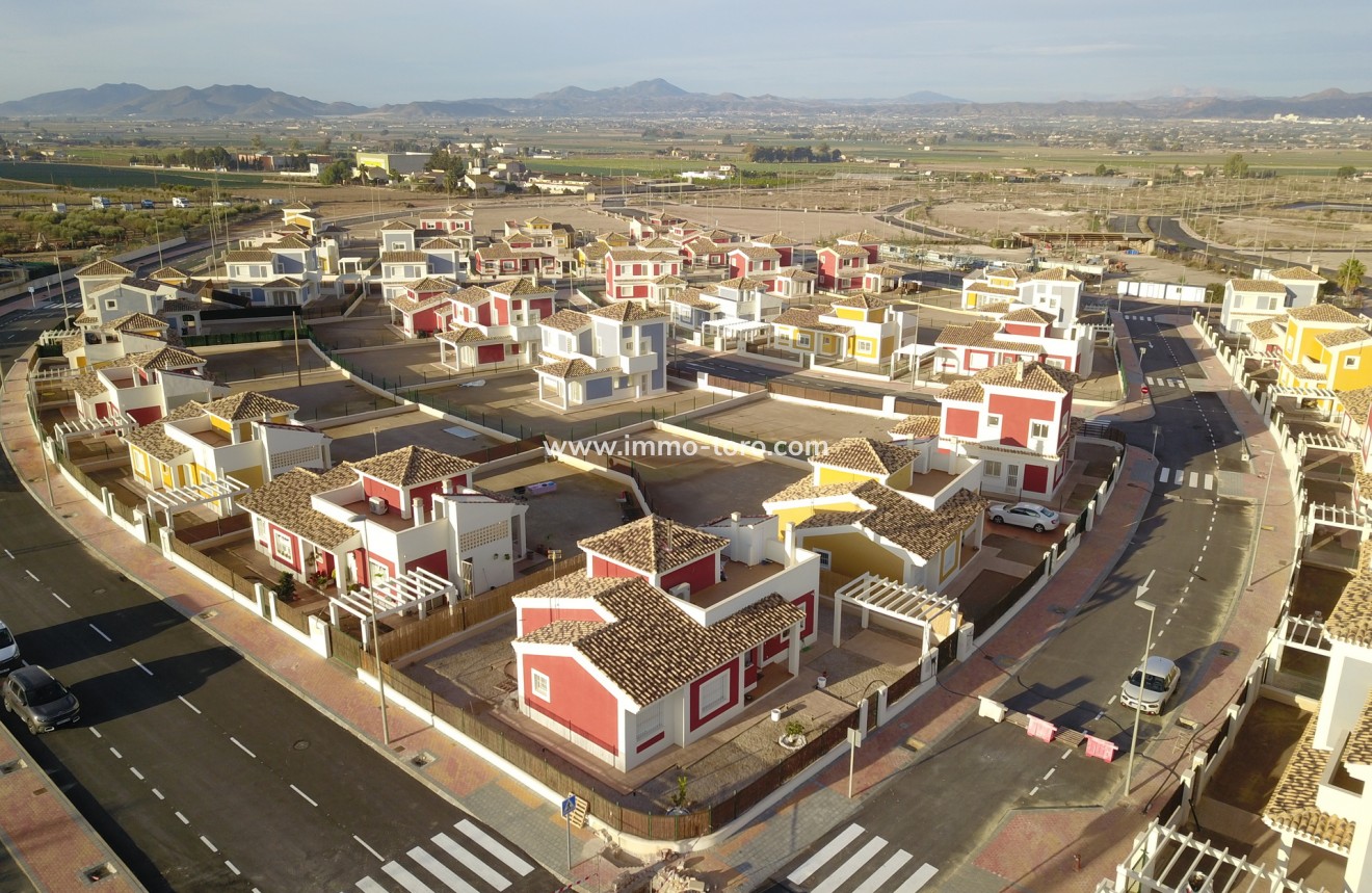 Nouvelle construction - Villa - Purias